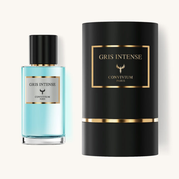 GRIS INTENSE
